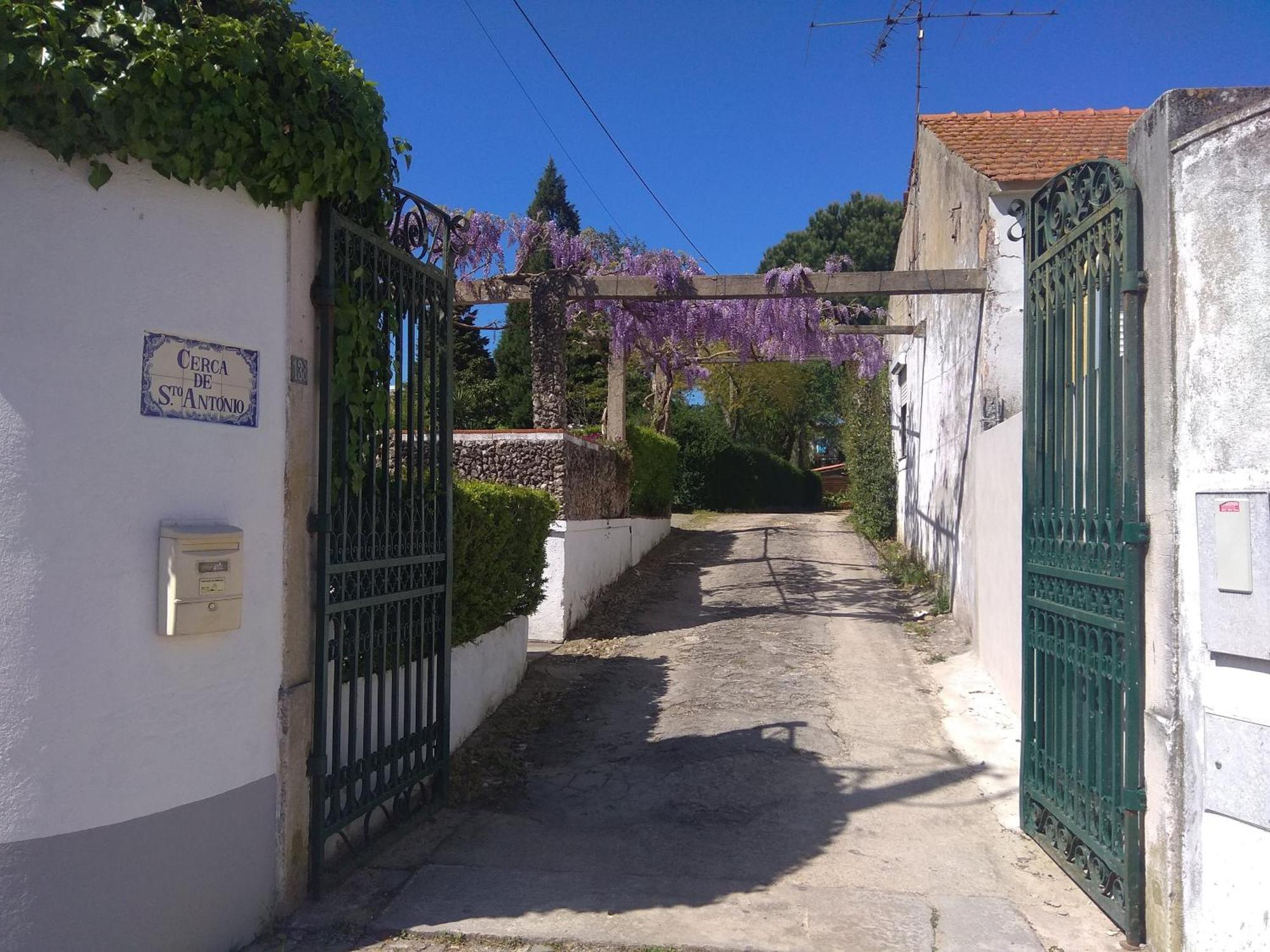 Casa Dos Arrabidos Guest House Torres Novas Exterior photo