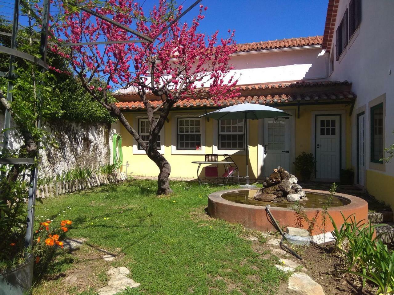 Casa Dos Arrabidos Guest House Torres Novas Exterior photo